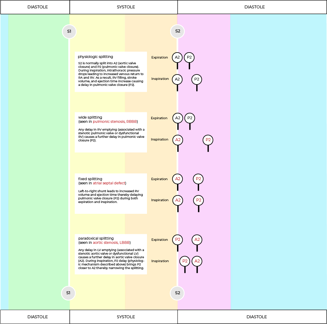 chronic lung disease diagram